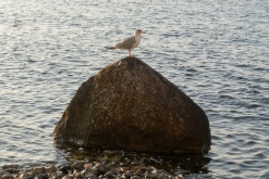 Sassnitz, Rujána - září 2023 (Víkend vlakem po Německu k Baltu)