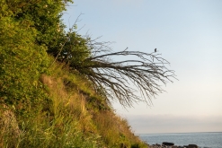 Sassnitz, Rujána - září 2023 (Víkend vlakem po Německu k Baltu)