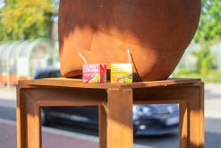 Amsterdam - Víkend vlakem přes Německo do Holandska (29. 7. - 31. 7. 2022)