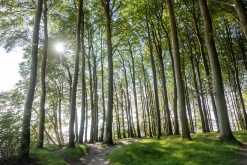 Sassnitz, Rujána - září 2023 (Víkend vlakem po Německu k Baltu)