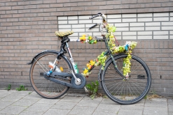 Amsterdam - Víkend vlakem přes Německo do Holandska (29. 7. - 31. 7. 2022)