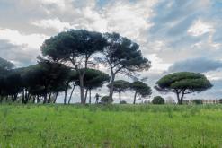 Řím víkend 1.+8.12.2023