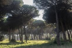 Řím víkend 1.+8.12.2023