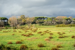 Řím (prosinec 2022)