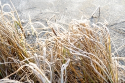 Luleå - listopad 2022