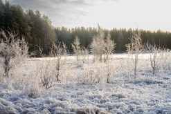 Luleå - listopad 2022