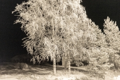 Rovaniemi - listopad 2022