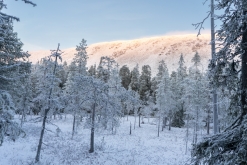 Luosto - listopad 2022