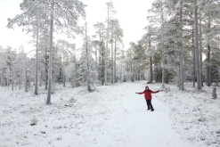 Luosto - listopad 2022