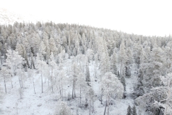 Luosto - listopad 2022