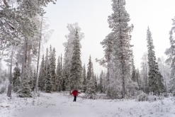 Luosto - listopad 2022