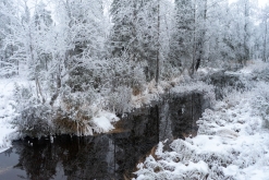 Luosto - listopad 2022