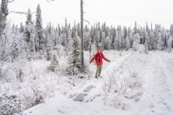 Luosto - listopad 2022