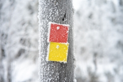 Luosto - listopad 2022