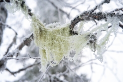 Luosto - listopad 2022