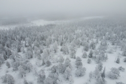 Luosto - listopad 2022