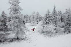 Luosto - listopad 2022