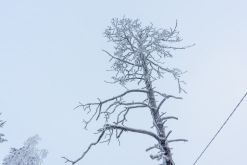 Luosto - listopad 2022