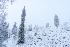 Luosto - listopad 2022