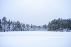 Luosto - listopad 2022