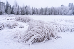 Luosto - listopad 2022