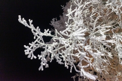 Rovaniemi - listopad 2022