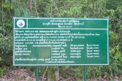 Krabi - Thalane Pier - Týden po Thajsku (duben 2023)
