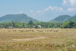 Krabi - Thalane Pier - Týden po Thajsku (duben 2023)