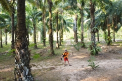 Krabi - Thalane Pier - Týden po Thajsku (duben 2023)
