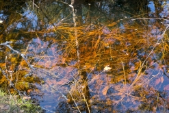 Korpo - Týden po Finsku (květen 2023)