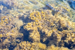 Korpo - Týden po Finsku (květen 2023)