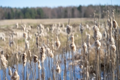 Korpo - Týden po Finsku (květen 2023)