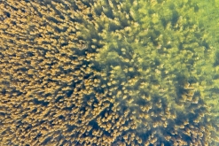 Korpo - Týden po Finsku (květen 2023)