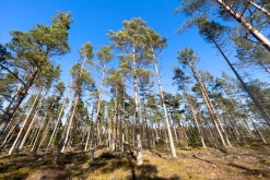 Korpo - Týden po Finsku (květen 2023)