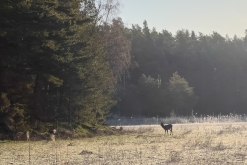 Nagu - Týden po Finsku (květen 2023)