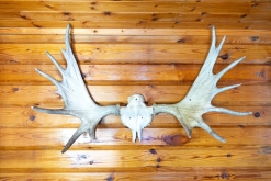 Nagu - Týden po Finsku (květen 2023)