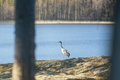 Nagu - Týden po Finsku (květen 2023)