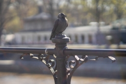 Turku - Týden po Finsku (květen 2023)