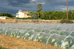 Larnaka - Prodloužený víkend na Kypru (leden 2023)