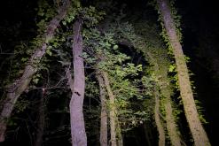 Korfu - Víkend po ostrově (říjen 2024)