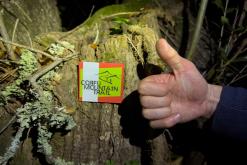 Korfu - Víkend po ostrově (říjen 2024)