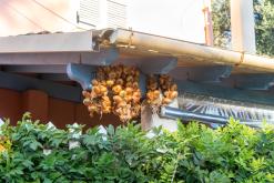 Korfu - Víkend po ostrově (říjen 2024)