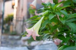 Korfu - Víkend po ostrově (říjen 2024)