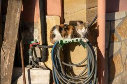 Korfu - Víkend po ostrově (říjen 2024)