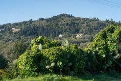 Korfu - Víkend po ostrově (říjen 2024)