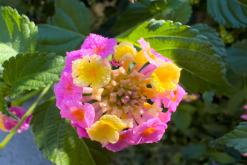 Korfu - Víkend po ostrově (říjen 2024)