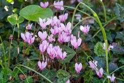 Korfu - Víkend po ostrově (říjen 2024)