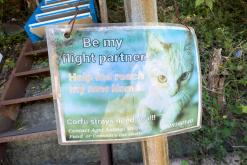 Korfu - Víkend po ostrově (říjen 2024)