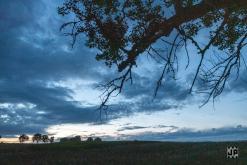 Oktekk - 26th Anniversary party