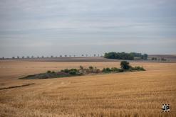 Oktekk - 26th Anniversary party